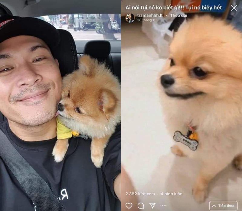 Cả hai từng bị soi hint nuôi chung thú cưng 