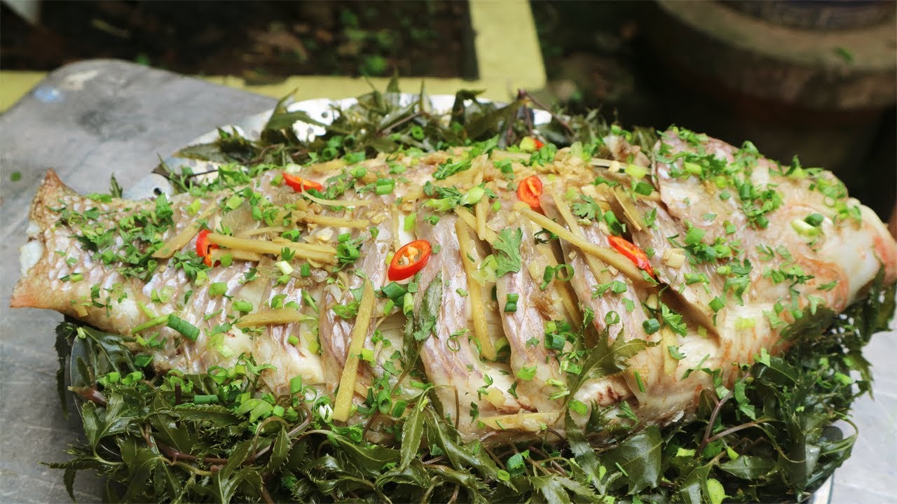 Đinh lăng rất được ưa chuộng khi nấu các món cá, từ hấp đến kho, nấu canh (Ản minh họa)
