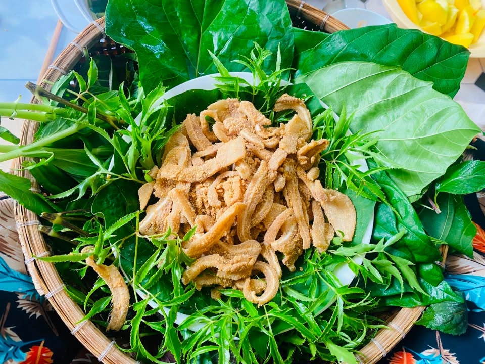 Lá đinh lăng ăn sống giữ được nhiều chất chống oxy hóa (Ảnh minh họa)