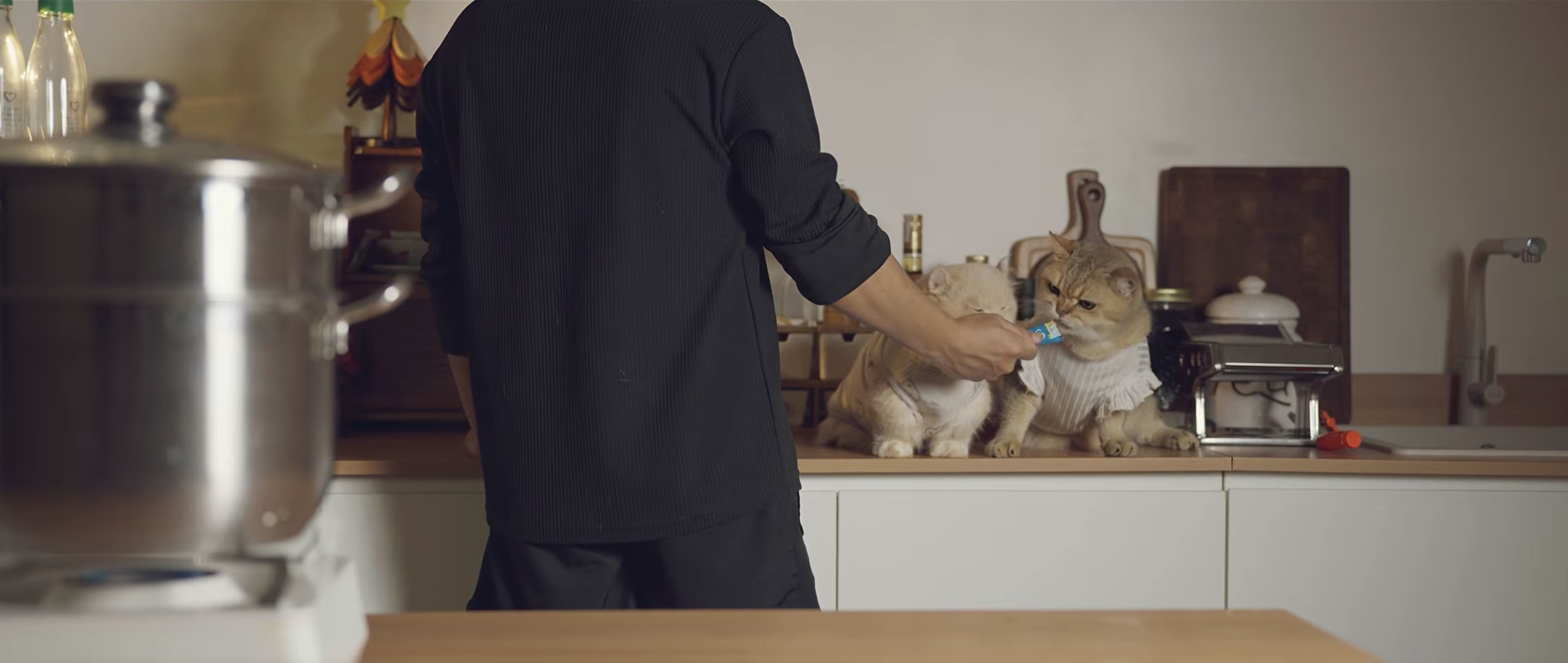 Chàng trai Việt có 7,6 triệu người theo dõi biến mất 3 năm không lời từ biệt, nay quay lại chỉ với một câu 