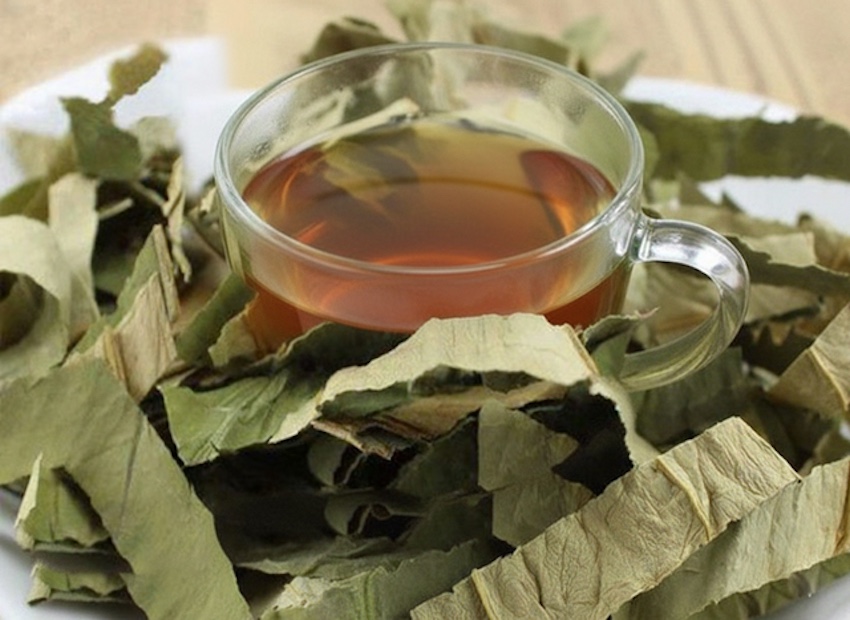 Trà lá mướp vừa lạ miệng vừa tốt cho sức khỏe khi uống điều độ (Ảnh minh họa)