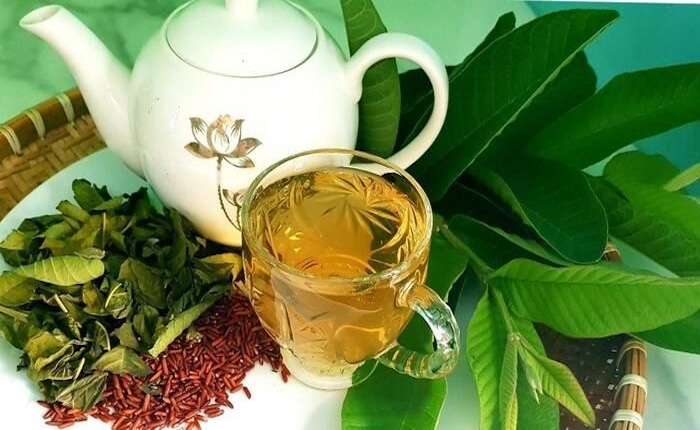 Dù tốt nhưng không phải ai cũng phù hợp với trà lá ổi (Ảnh minh họa)
