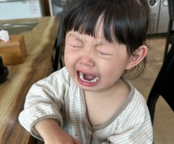 Phụ huynh không được chủ quan khi trẻ đột nhiên quấy khóc nhiều, nôn mửa, khó ăn uống (Ảnh minh họa)