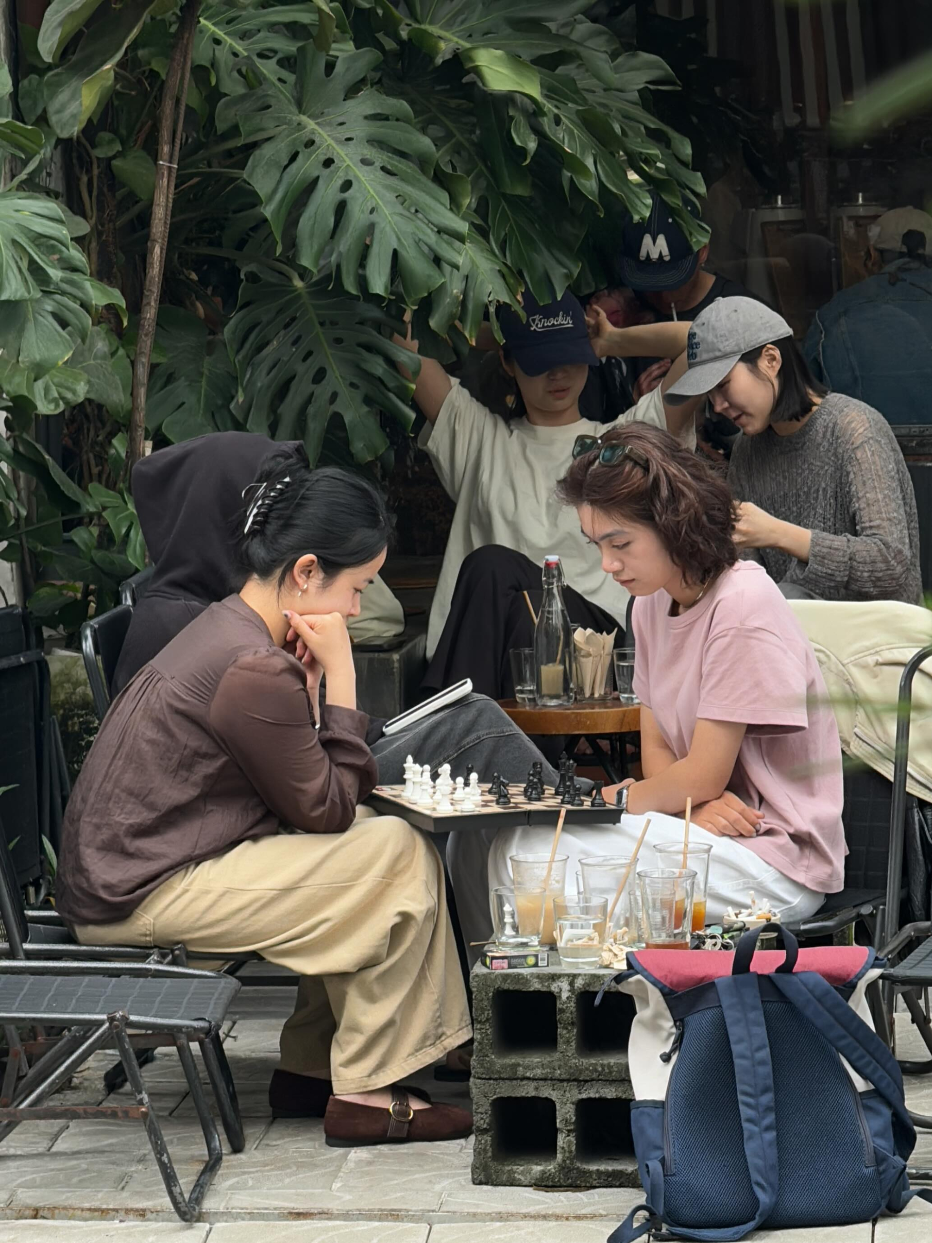 Một chú mèo ở quán cà phê Đà Nẵng bất ngờ thành “ngôi sao” quốc tế, khách Tây đua nhau bay qua Việt Nam để gặp