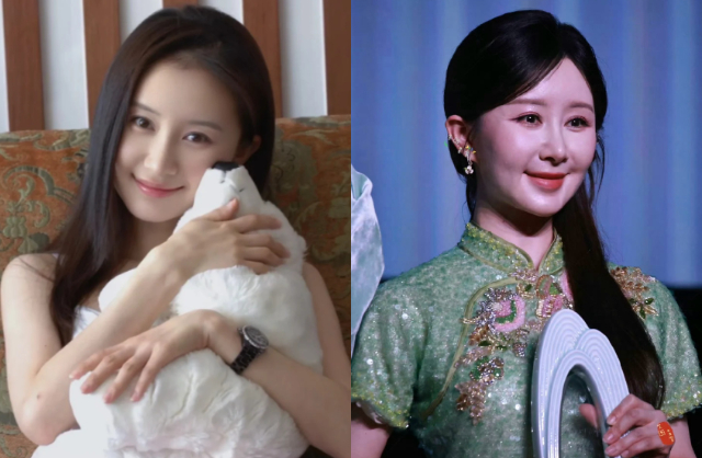 Diện mạo hiện tại của nữ diễn viên khác xa hình ảnh trong trẻo, linh khí từng làm nên tên tuổi của cô trong quá khứ. Ảnh: Sina.