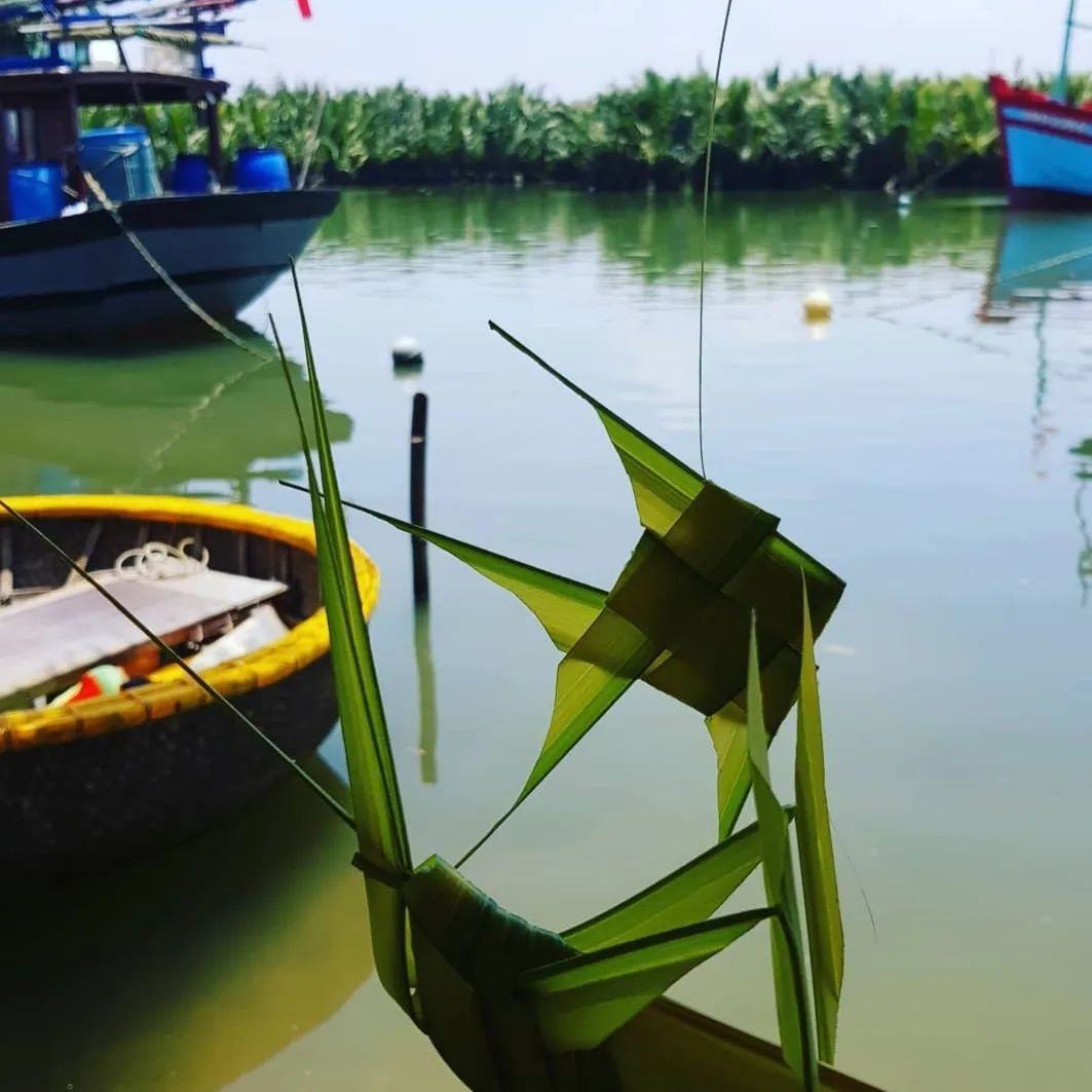 Phát hiện khu rừng nước lợ nuôi sống cả ngàn hộ dân miền Trung , mỗi ngày đón 6.000 khách, vừa được Forbes xếp hạng 20 thế giới