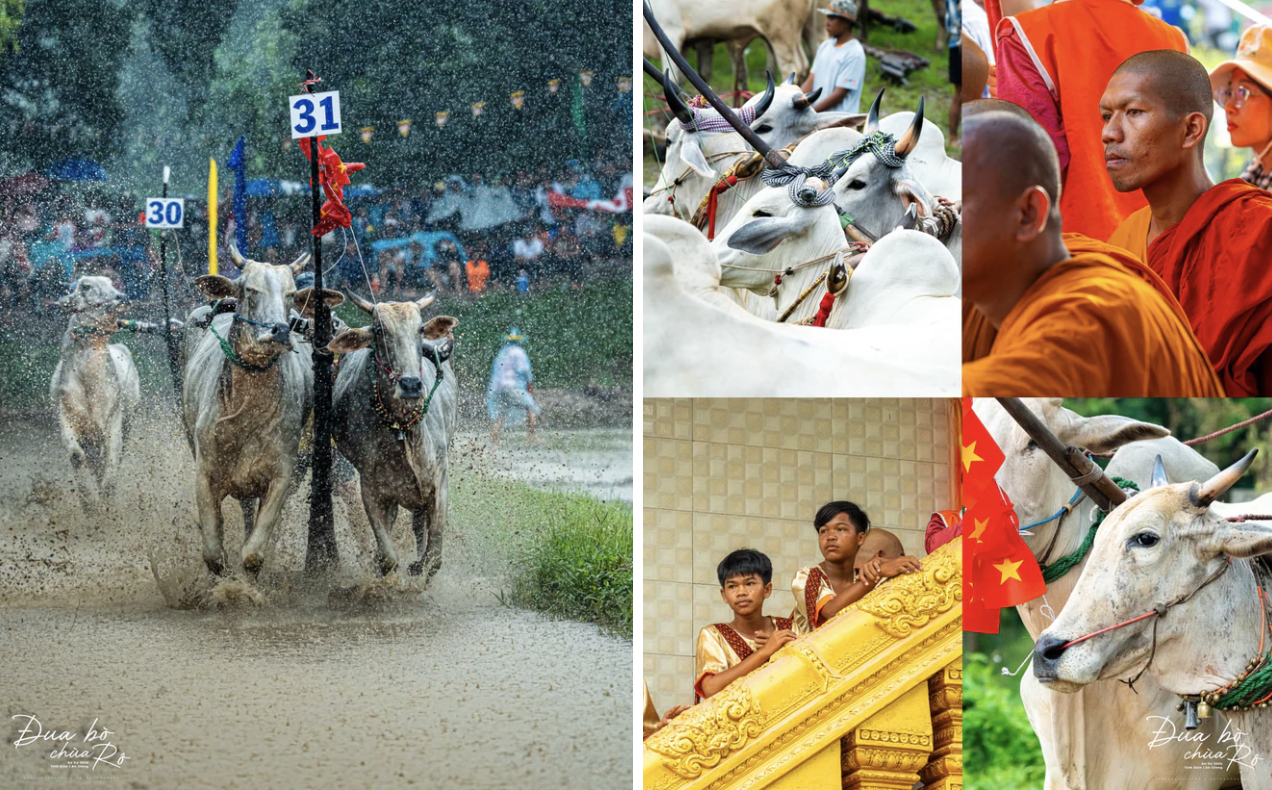 Đây vốn là lễ hội truyền thống của đồng bào Khmer vùng Bảy Núi diễn ra vào đúng dịp Lễ Sene Dolta. Ảnh: Nguyễn Khánh Vũ Khoa