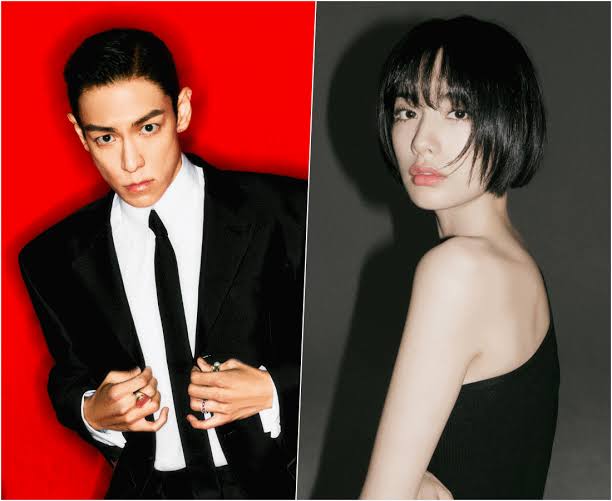 T.O.P và Nana có nhiều điểm tương đồng, và được cho biết rất hợp nhau. Ảnh: X.