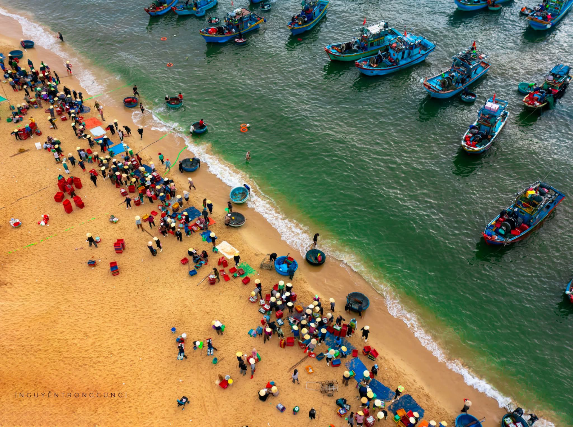 Chợ cá Nhân Trạch nhìn từ trên cao. Ảnh: quangbinhtravel