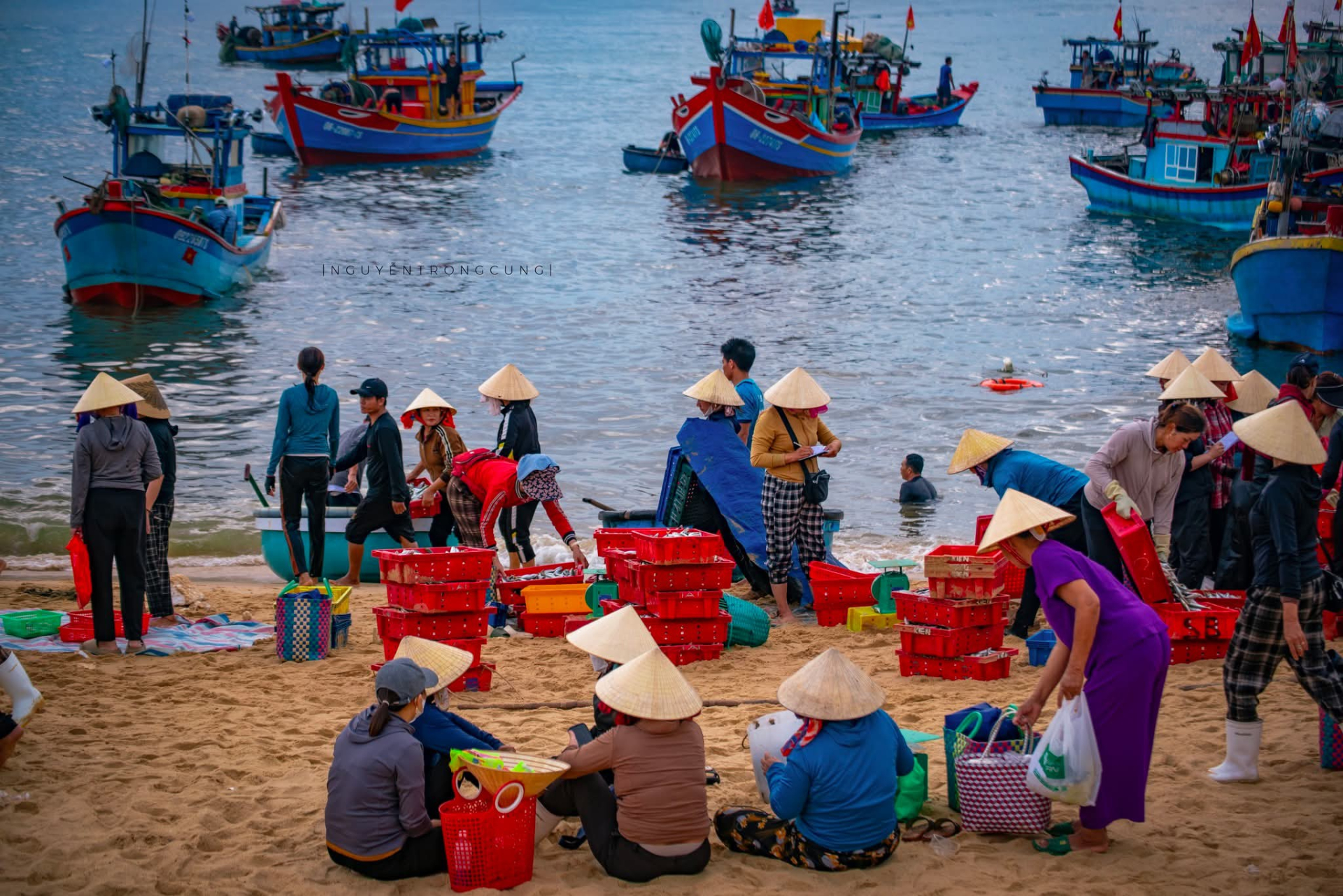 Ảnh: quangbinhtravel