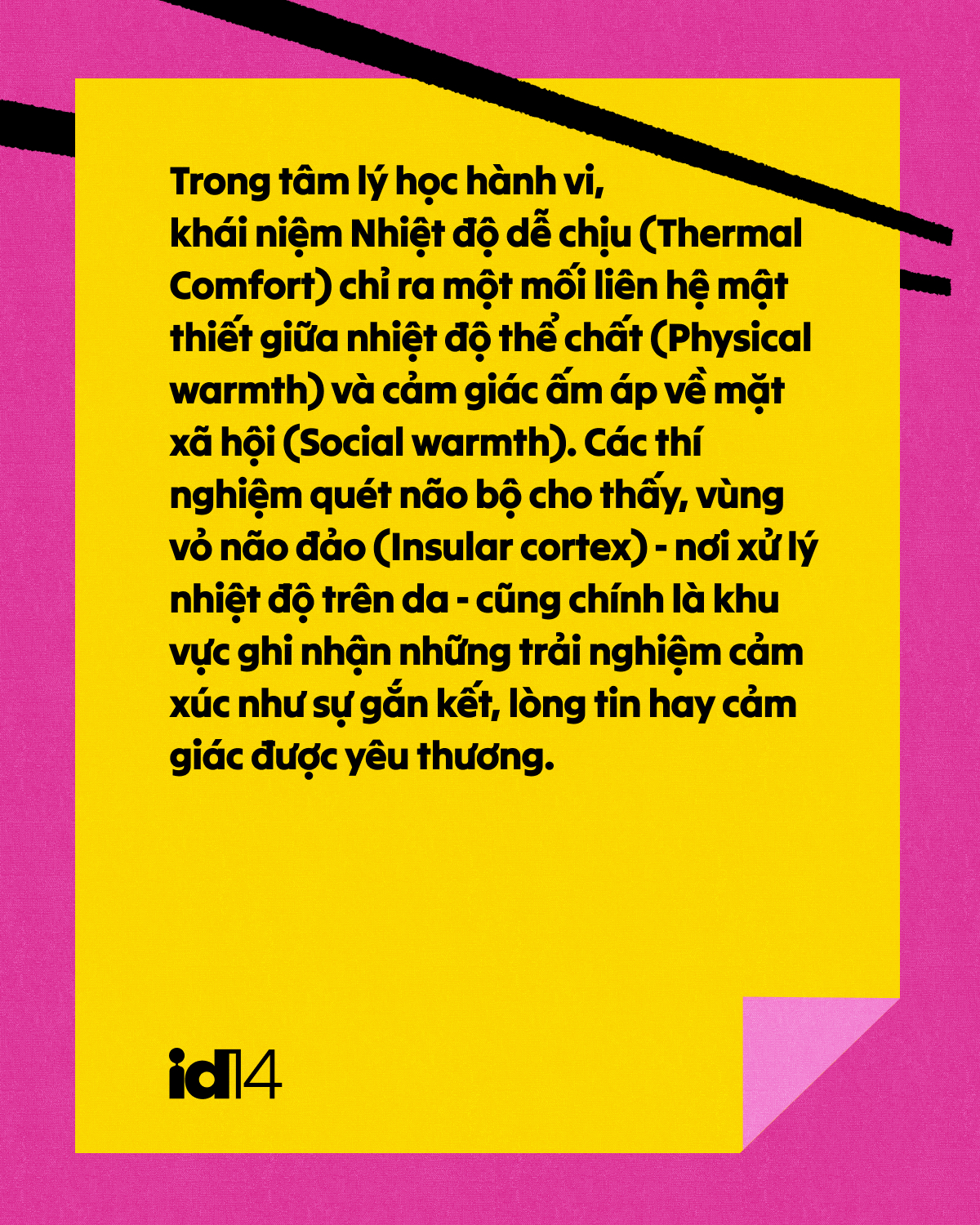 Nghệ thuật Comfort Food: Tại sao khi cô đơn, chúng ta lại thèm một bát phở nóng?