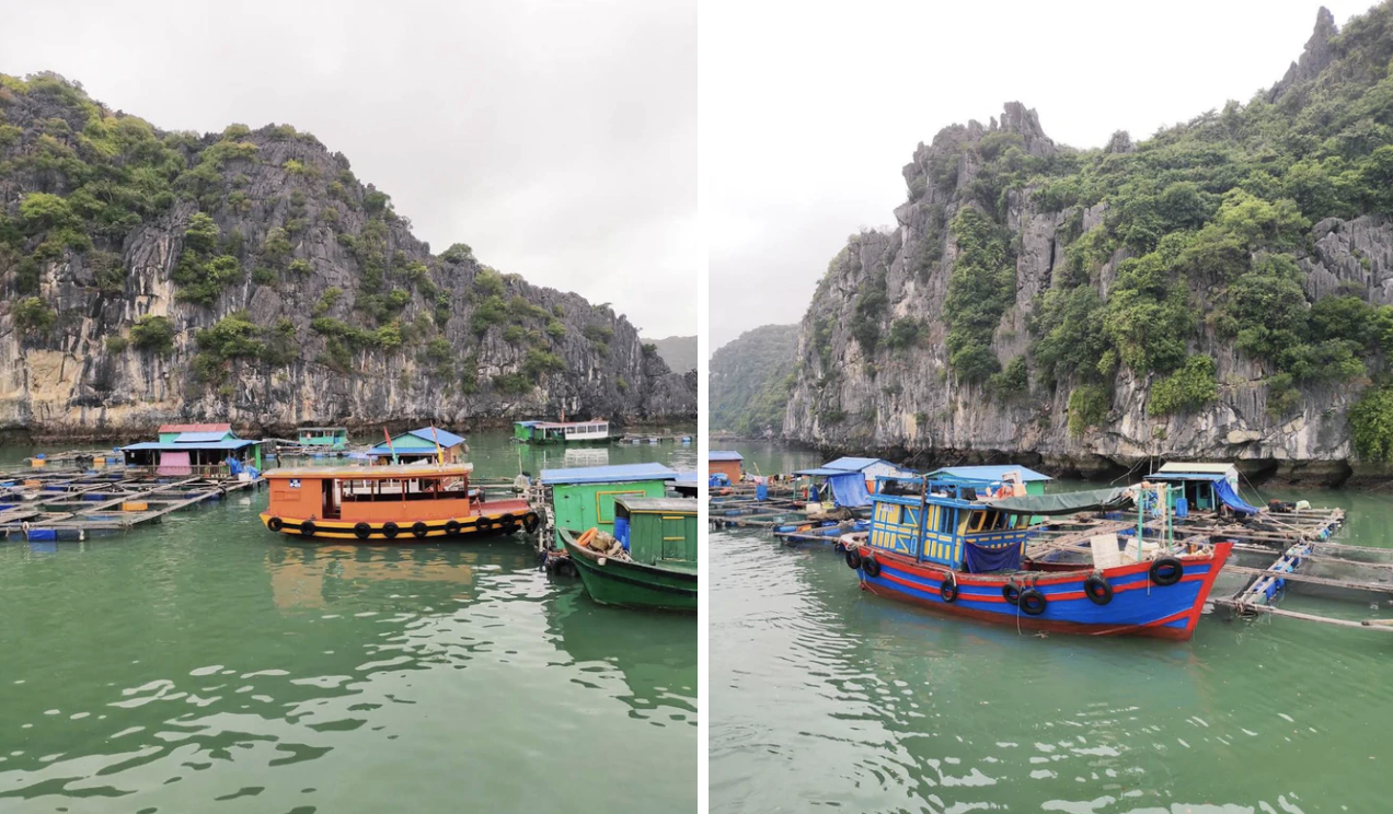 Du khách có thể quan sát cách người dân chăm sóc những lồng cá, cho cá ăn và lựa chọn hải sản ngay tại bè.
