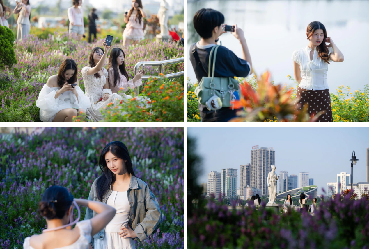Hoa ở Công viên An Hòa cho một cảm giác hoàn toàn khác với hoa ở Hồ Gươm, lại có view nhìn thẳng ra Cung Thiếu nhi Hà Nội