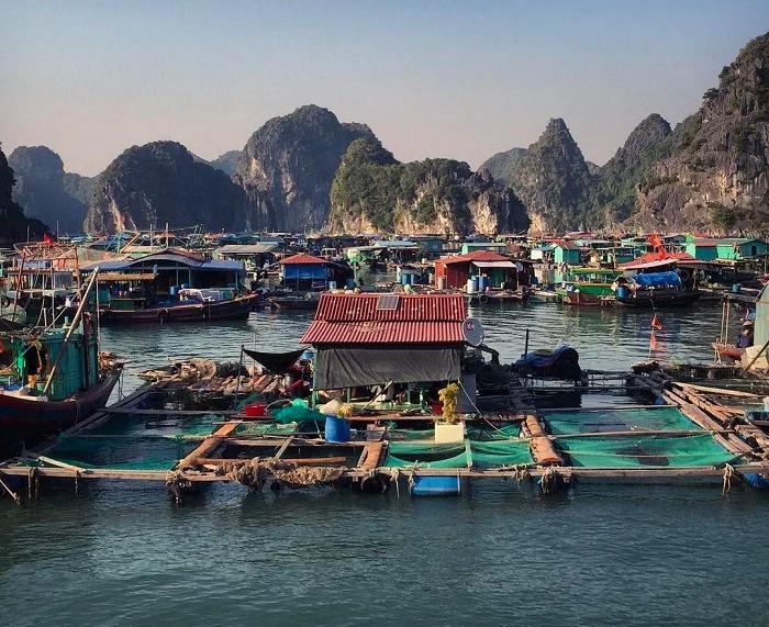 Việt Nam có làng chài lâu hơn kim tự tháp Ai Cập: Đào lên được 88 đầu cá biển, giờ vẫn 300 hộ sống trên mặt nước