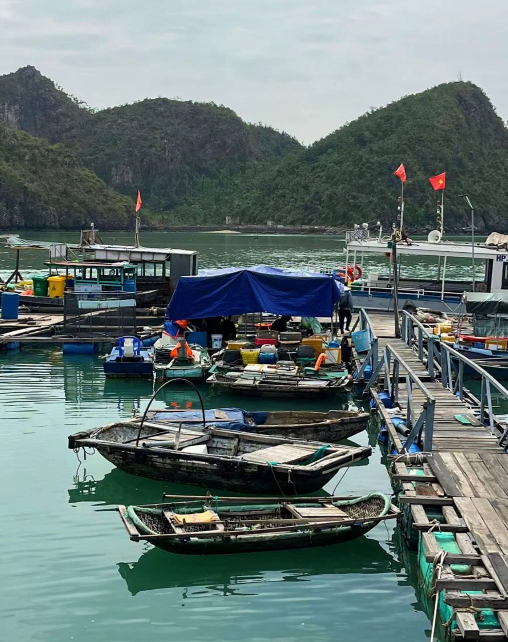 Việt Nam có làng chài lâu hơn kim tự tháp Ai Cập: Đào lên được 88 đầu cá biển, giờ vẫn 300 hộ sống trên mặt nước