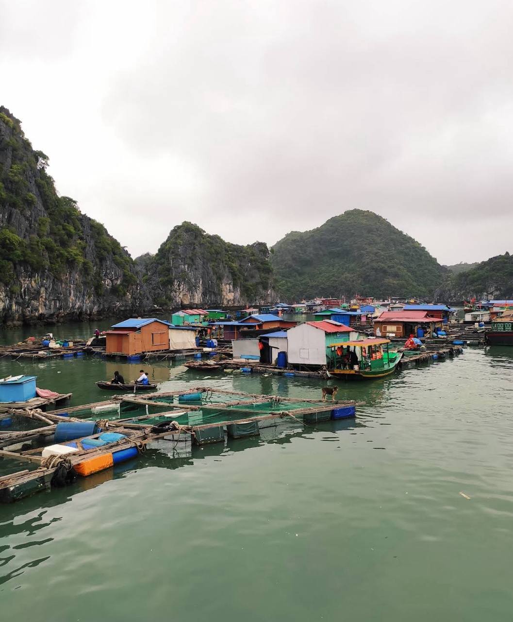 Những căn nhà nằm trên mặt nước, phía dưới là các lồng nuôi hải sản, tạo nên một không gian sinh hoạt rất khác so với làng quê trên đất liền.