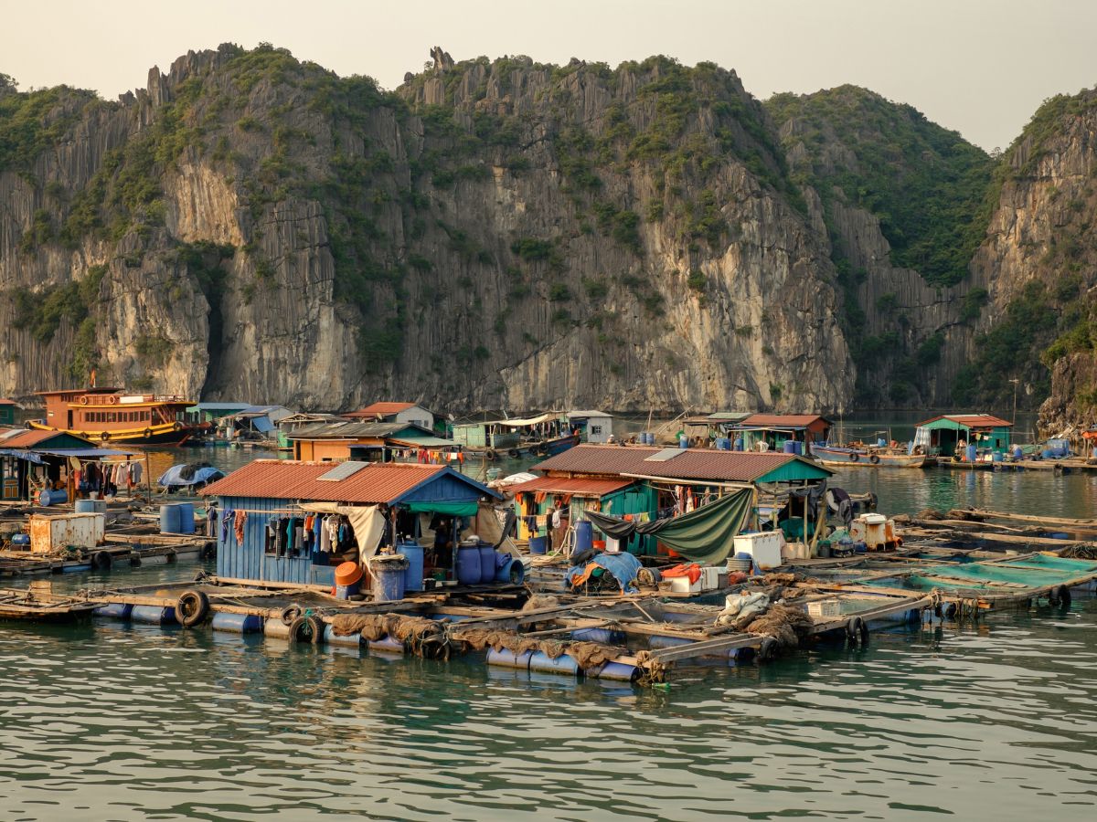 Làng chài Cái Bèo là làng chài cổ nhất Việt Nam vẫn còn giữ được những giá trị văn hóa lâu đời cùng nét đẹp hoang sơ vừa truyền thống vừa hiện đại đến ngày nay.
