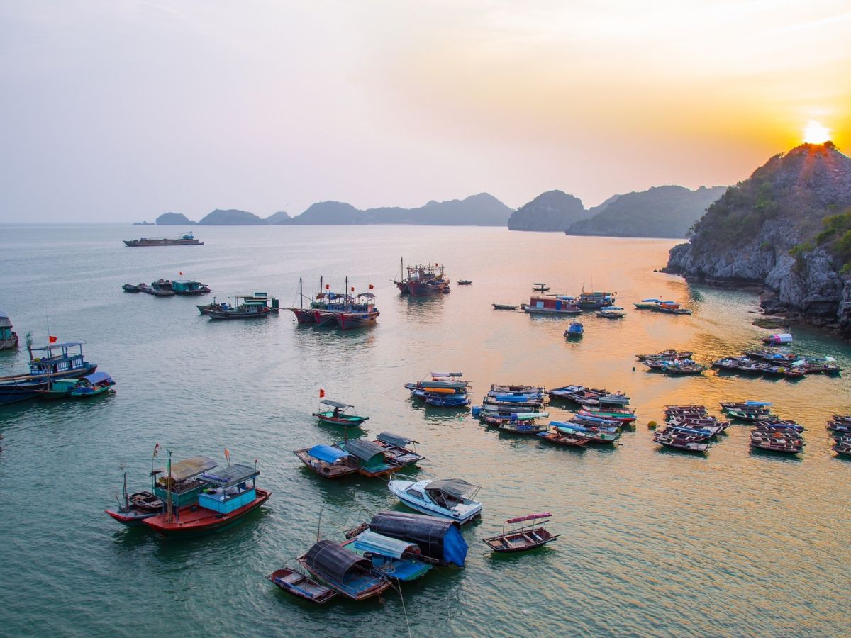 Văn hóa Cái Bèo được xem là một mắt xích quan trọng trong quá trình hình thành văn hóa Hạ Long.