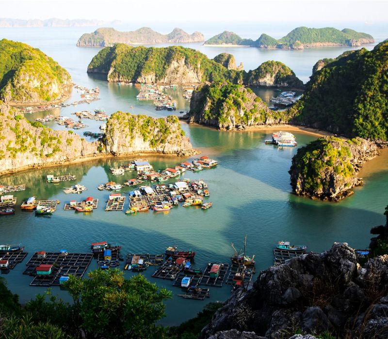 Việt Nam có làng chài lâu hơn kim tự tháp Ai Cập: Đào lên được 88 đầu cá biển, giờ vẫn 300 hộ sống trên mặt nước