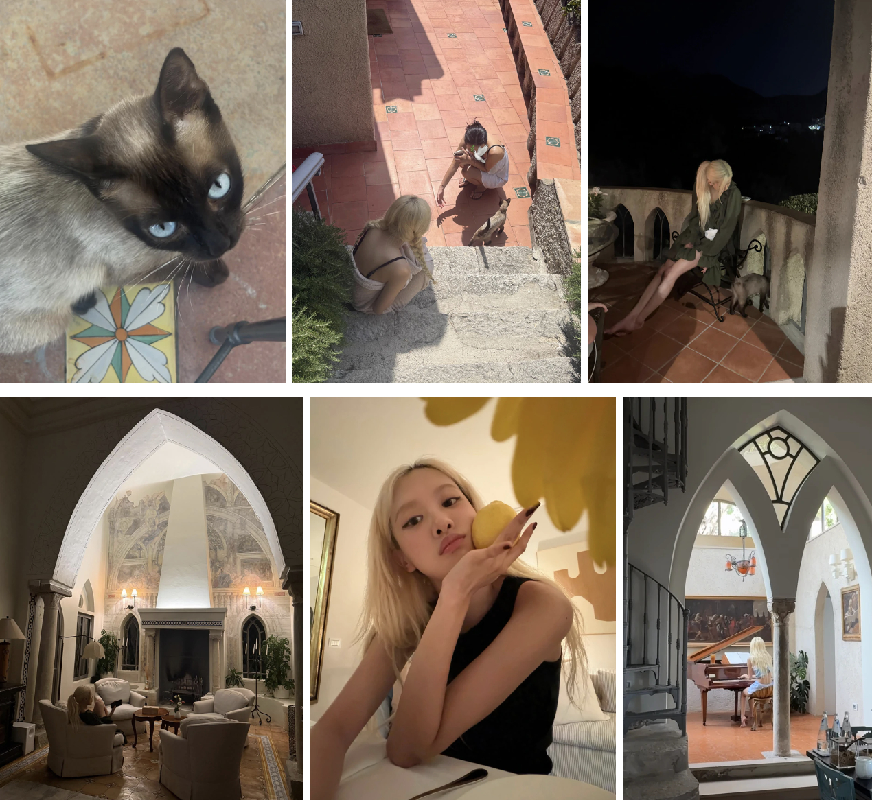 Từ việc chơi đùa cùng một chú mèo, selfie với quả chanh hay chơi đàn piano, Rosé khiến người xem bật cười bởi loạt biểu cảm tự nhiên.