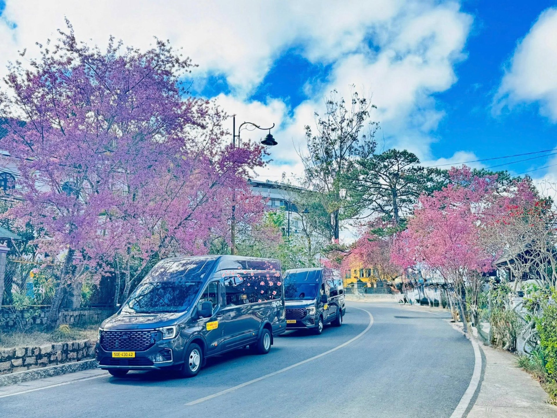 Chỉ chưa đầy 20 ngày nữa, một nhà xe nổi tiếng miễn phí 1240 vé khứ hồi cho toàn bộ phụ nữ Việt Nam