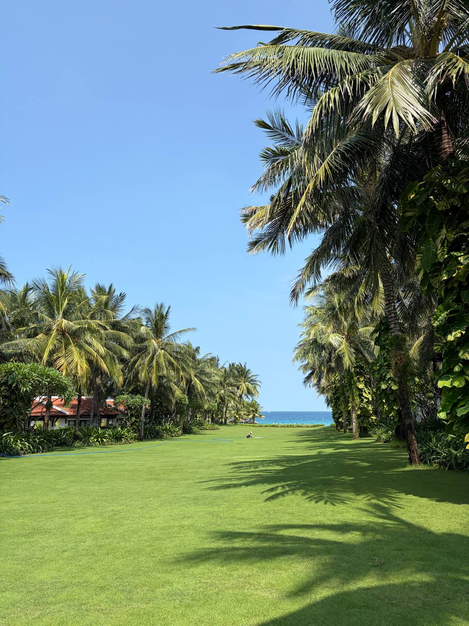 Trải nghiệm resort lọt top 100 thế giới giá 23 triệu/đêm tại Cam Ranh: Gọi lễ tân vì mệt, vài phút sau có người mang thuốc lên tận phòng