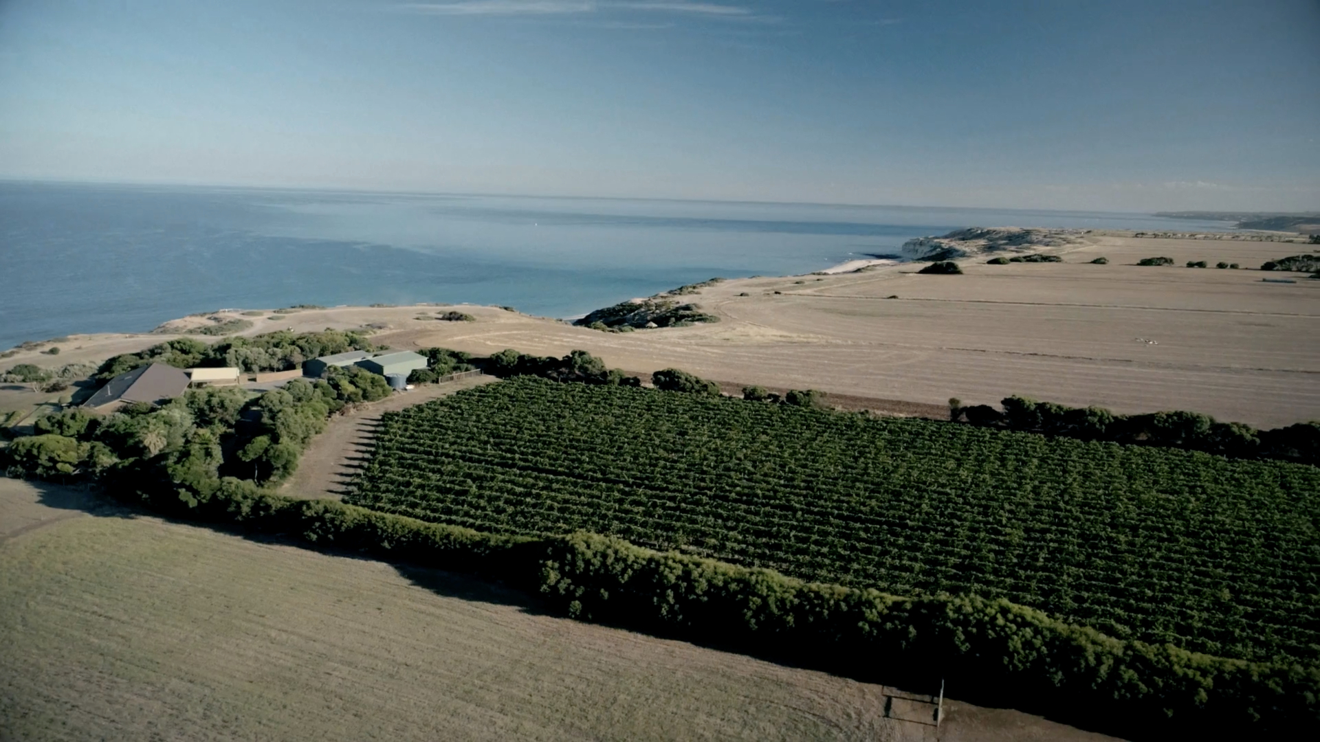 McLaren Vale Wine Region - Vùng rượu vang danh tiếng của Úc. Ảnh: Wine Australia
