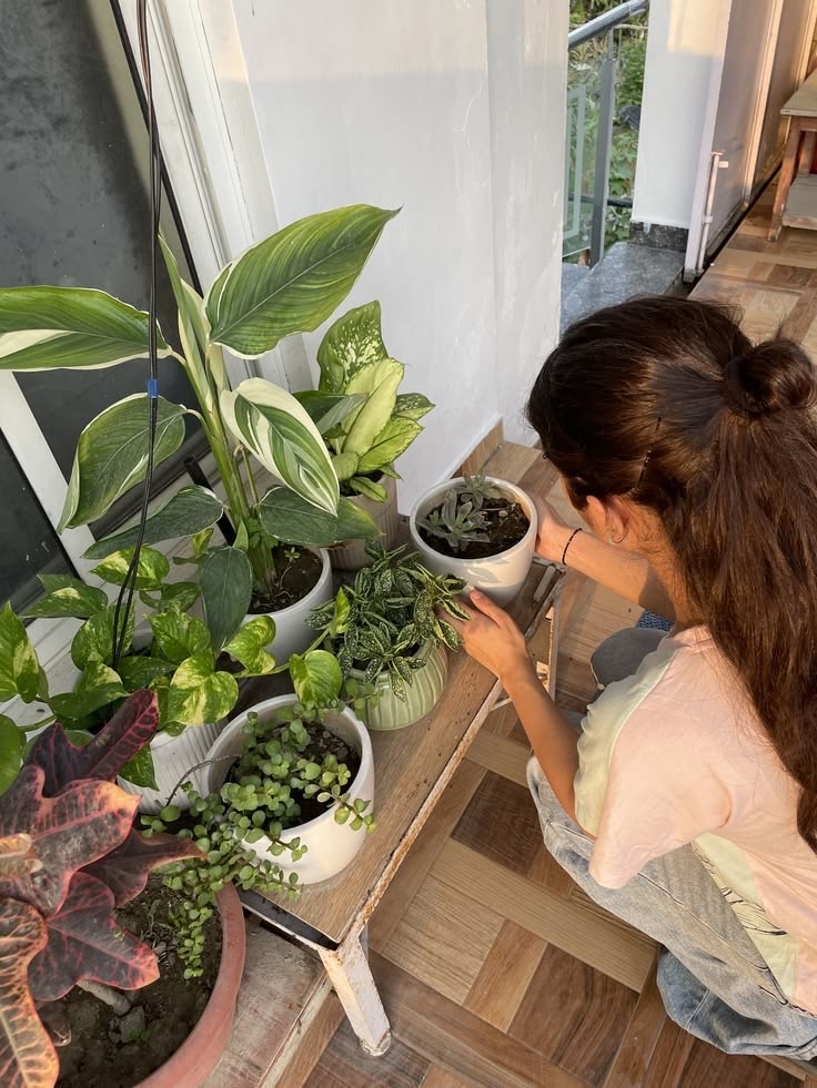 Ông bà nói: Đừng mang cây dữ vào nhà, cây càng thịnh thì người càng suy - Sự thật là gì?