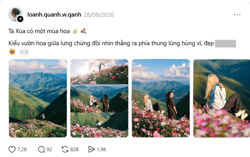 Bộ ảnh Tà Xùa đẹp như mơ của cặp đôi. Ảnh: loanh.quanh.w.qanh