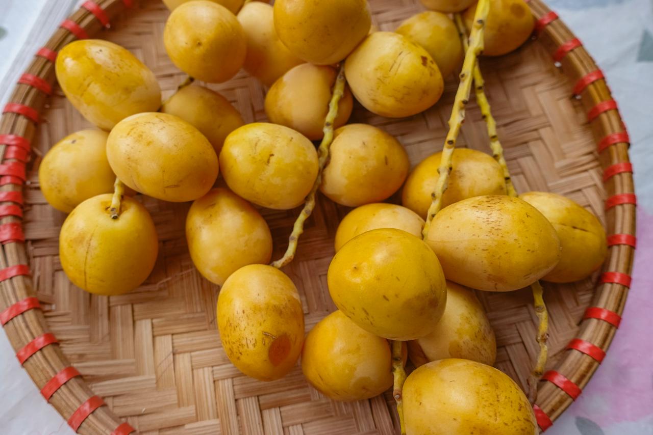 Việt Nam đã trồng được loại quả bé xíu có cách ăn kỳ lạ: Được đồn “cắn dọc thì ngọt, cắn ngang lại chát đến nhăn mặt”