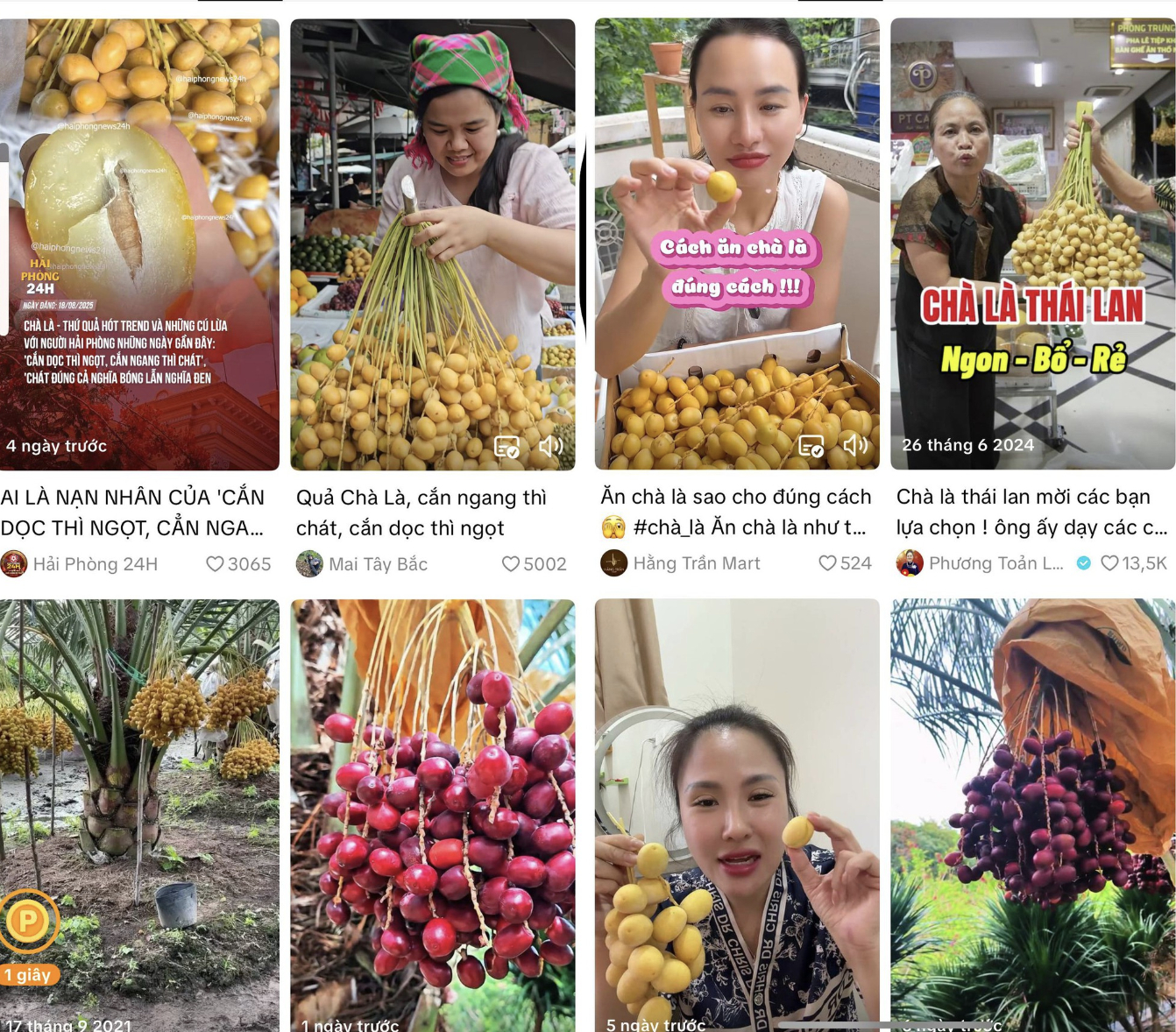 Việt Nam đã trồng được loại quả bé xíu có cách ăn kỳ lạ: Được đồn “cắn dọc thì ngọt, cắn ngang lại chát đến nhăn mặt”