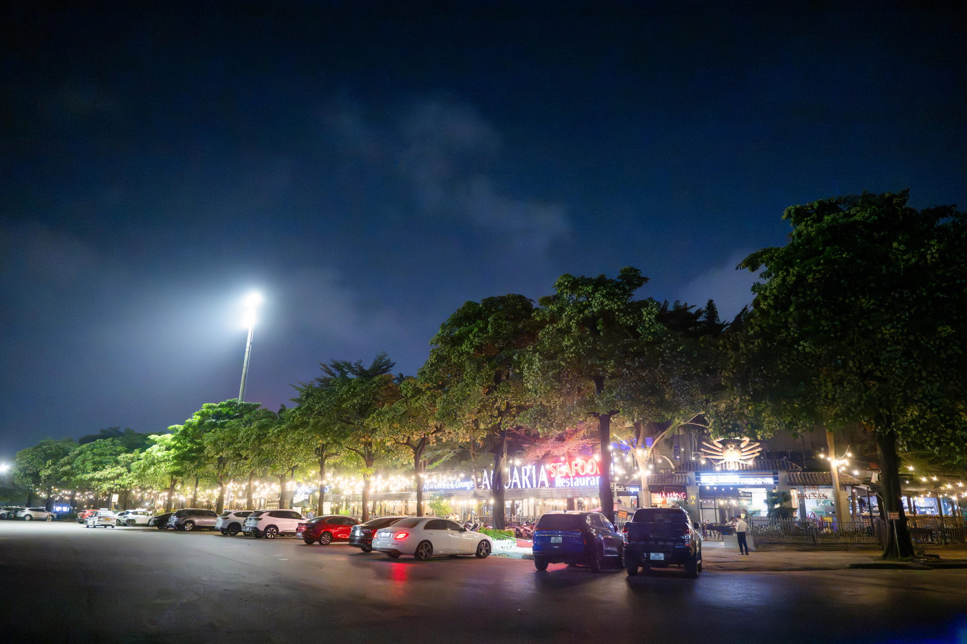 Những người dị ứng hoa sữa được khuyến cáo hạn chế hoạt động ngoài trời vào mùa hoa, đặc biệt là buổi tối