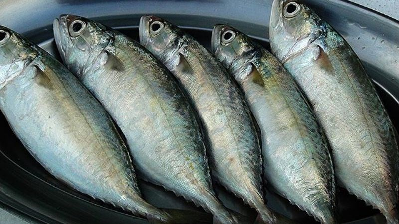 4 loại cá âm thầm nuôi trí não: Chợ Việt bán đầy nhưng chỉ dân sành mới biết để mua