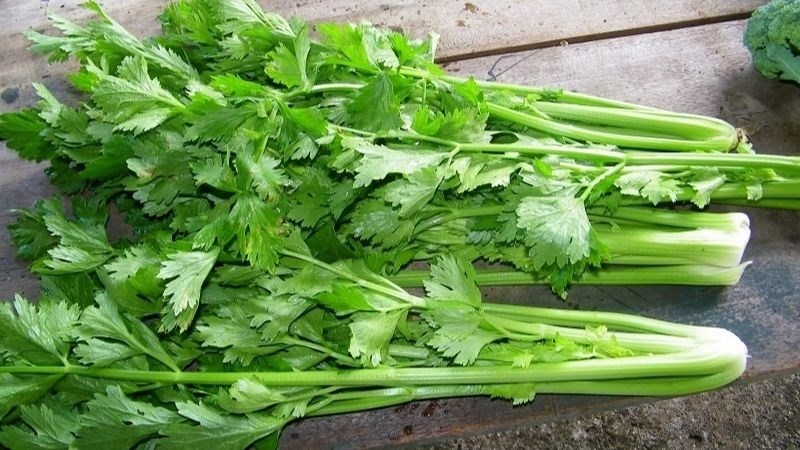 5 loại rau 