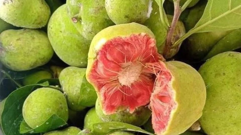 Loại quả nằm lẫn ở hàng rau là