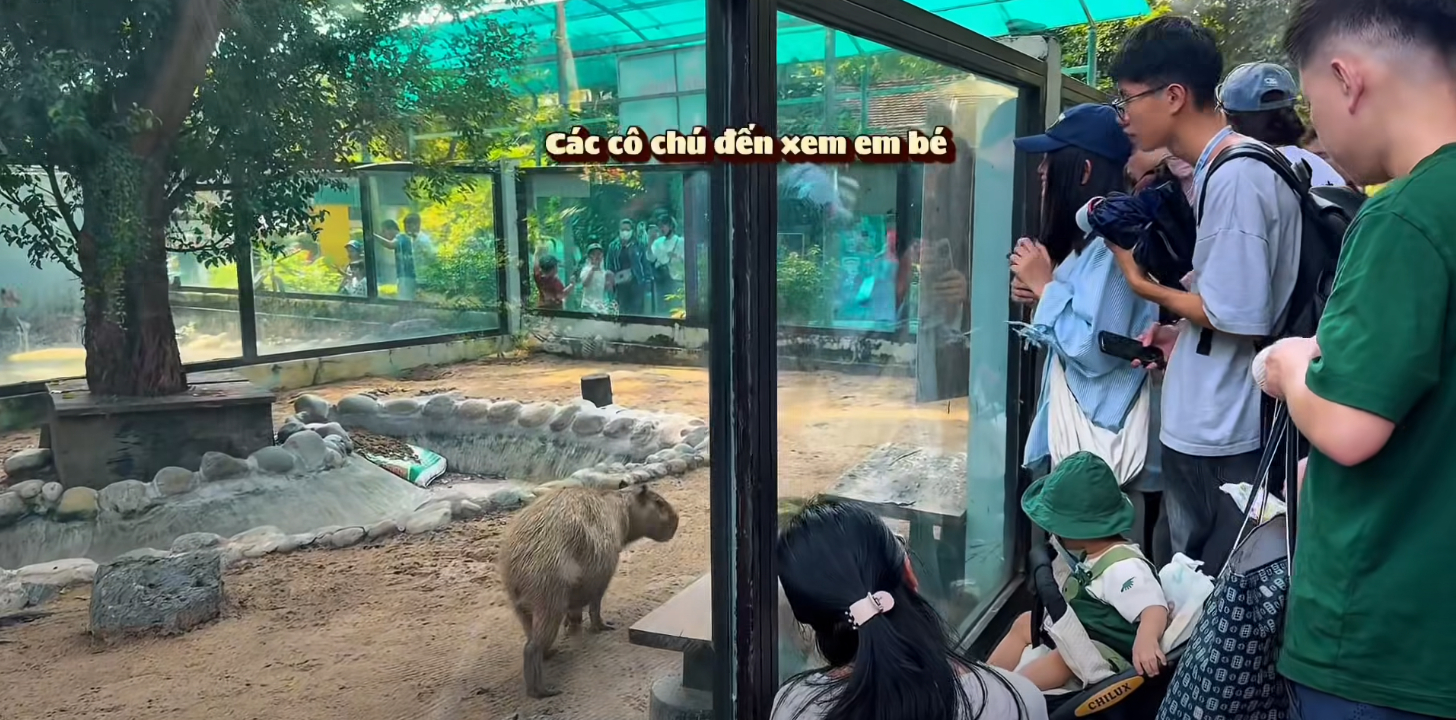 Thảo Cầm Viên vừa tuyển thêm 3 nhân sự mới, tên lần lượt là Anh, Yêu và Em