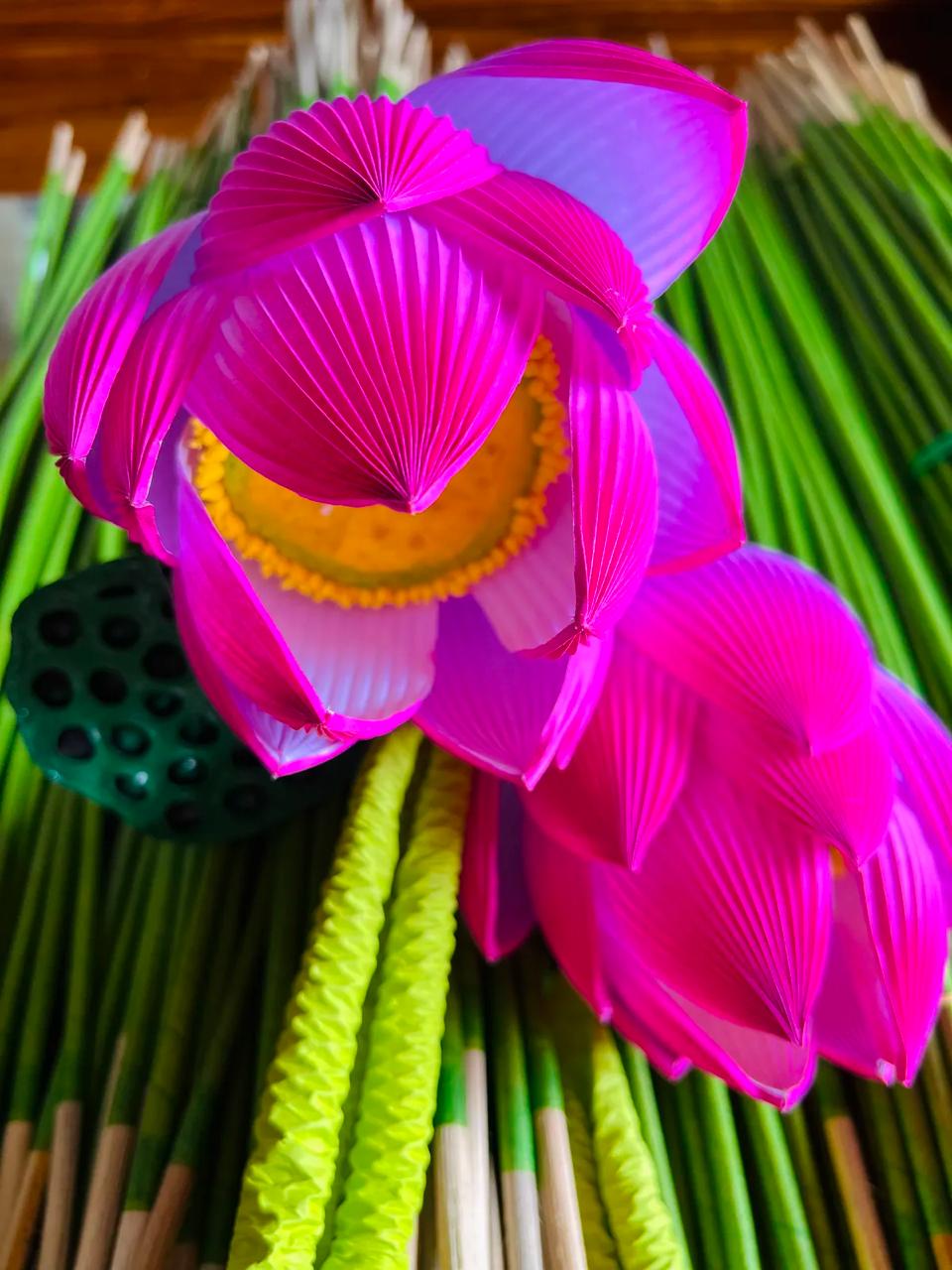 Ảnh: Sưu tầm