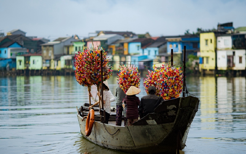 Việt Nam có loài hoa “bất tử” hơn 300 năm tuổi ở Huế, Không bao giờ tàn nhưng năm nào cũng được thay mới