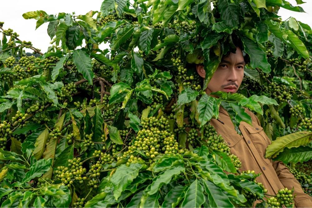 Việt Nam có ngọn thác cao hàng chục mét đổ xuống vách đá bazan giữa đại ngàn, vừa xuất hiện trong MV của Đen