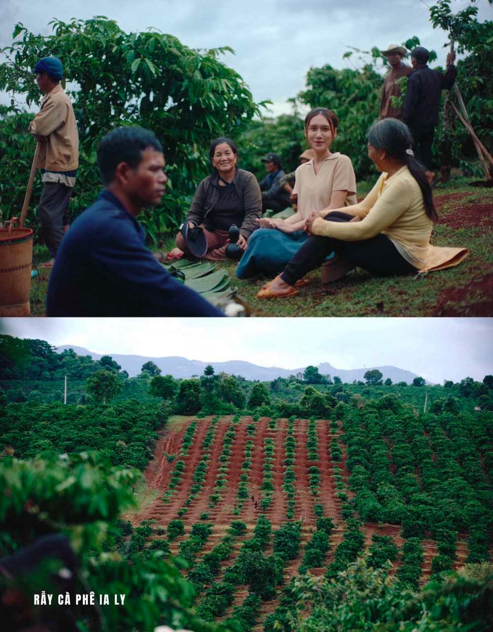 Việt Nam có ngọn thác cao hàng chục mét đổ xuống vách đá bazan giữa đại ngàn, vừa xuất hiện trong MV của Đen