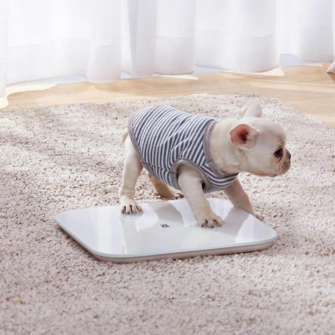 Cân sức khỏe thông minh Xiaomi Mijia S200.