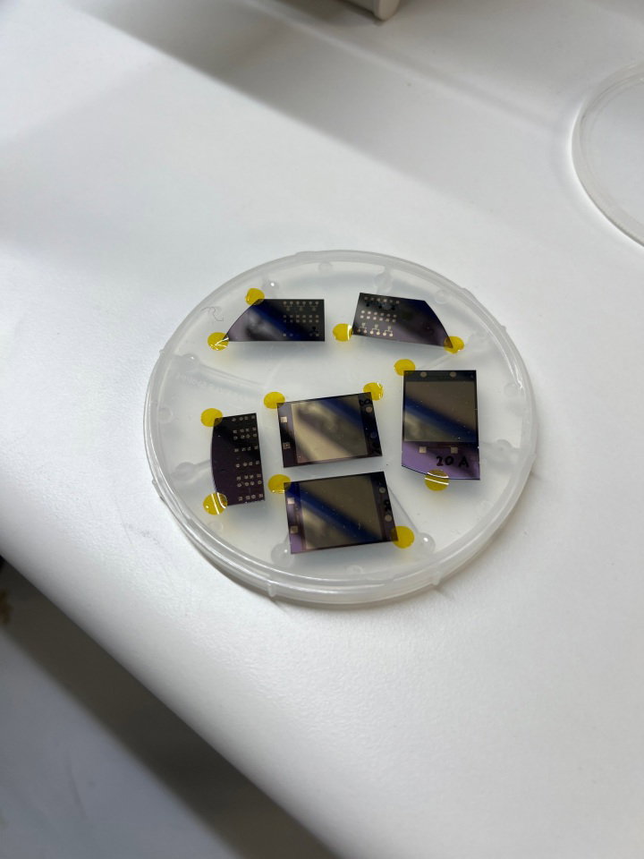 Một nguyên mẫu chip MicroSparc thế hệ đầu sử dụng các tiến trình lượng tử để sản sinh năng lượng