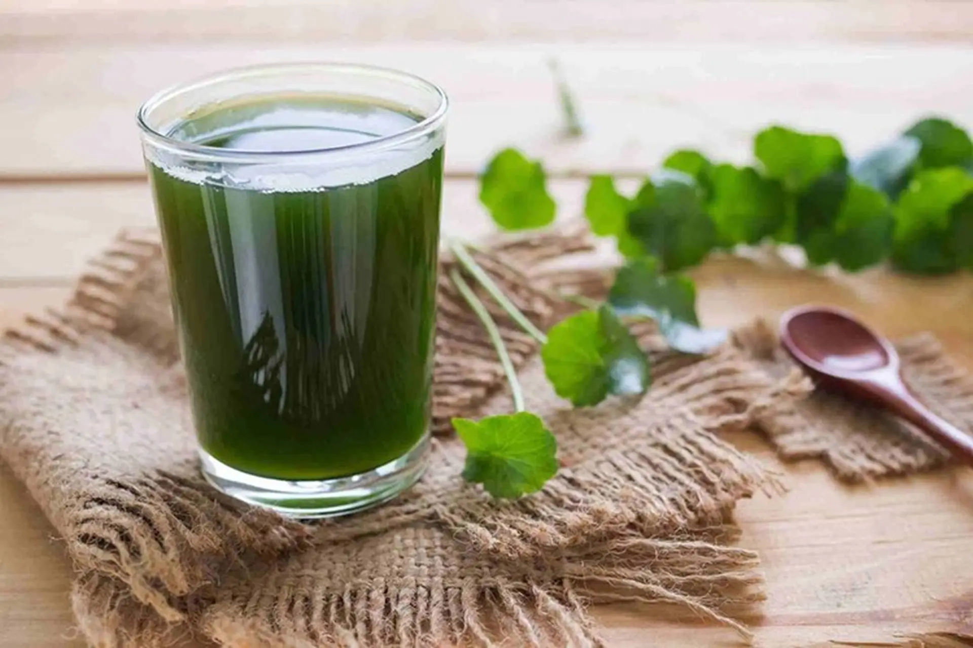 Việt Nam có loại rau dại quý giá, vừa thanh nhiệt vừa giải độc nhưng lãng phí vì nhiều người không biết ăn