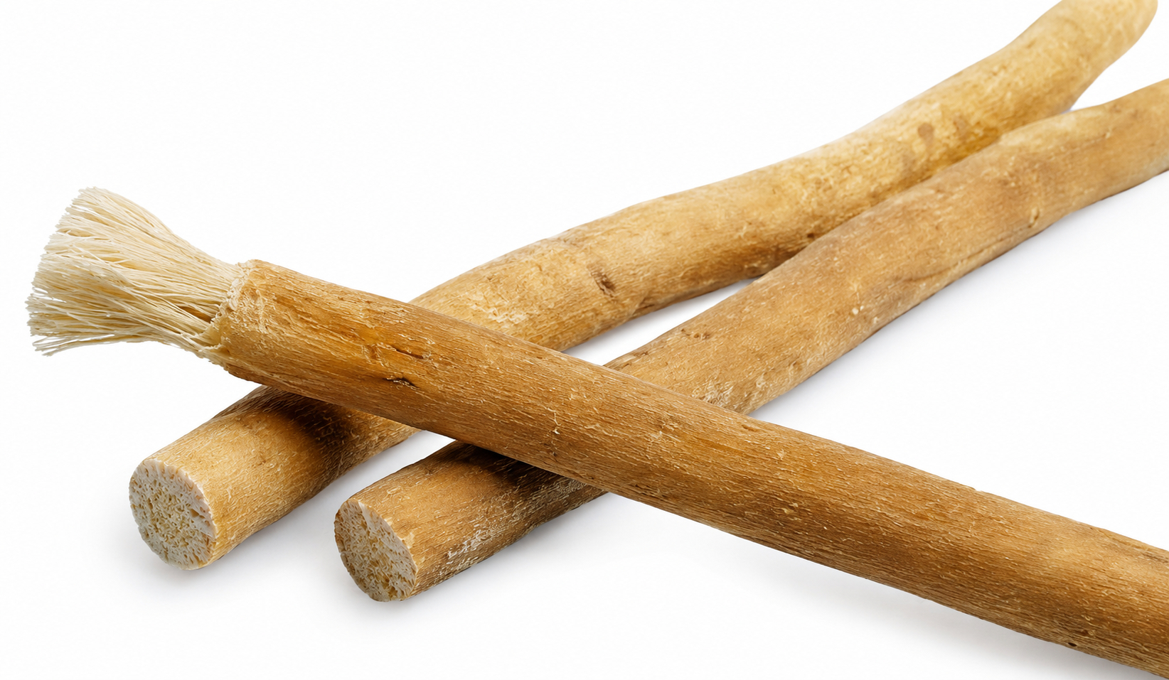 Que nhai miswak làm sạch răng