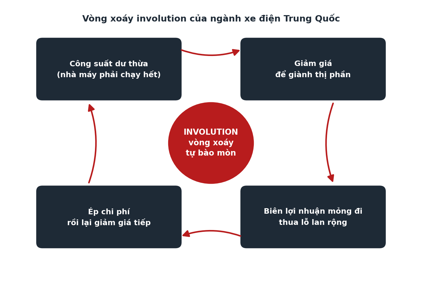 Vòng xoáy involution trong ngành xe điện Trung Quốc: công suất dư thừa dẫn tới giảm giá, giảm giá kéo theo thua lỗ, và thua lỗ lại buộc các hãng tiếp tục giảm giá