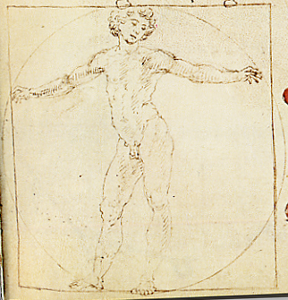 Một trong ba nỗ lực vẽ Người Vitruvius của Francesco di Giorgio Martini - Ảnh: Louis-garden.