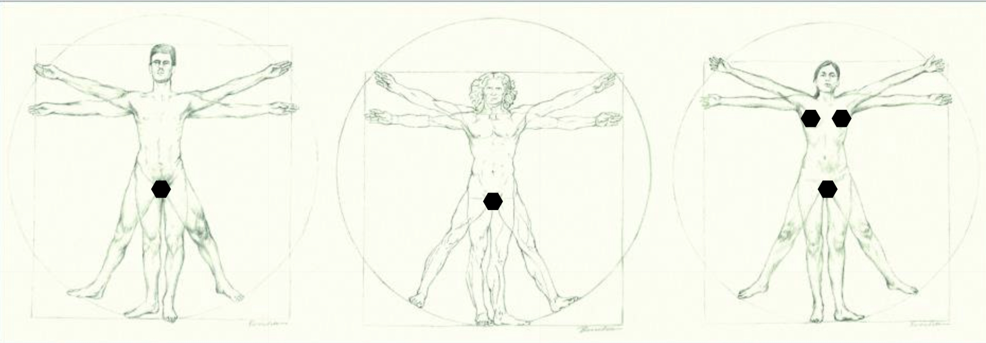 Người Vitruvius của Leonardo da Vinci được so sánh với đàn ông và phụ nữ đương đại - Ảnh trích từ nghiên cứu.