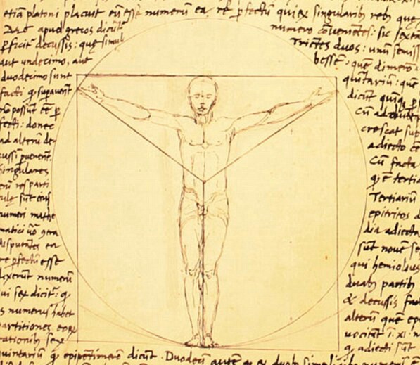 Phiên bản Người Vitruvius của kiến trúc sư Giacomo Andrea de Ferrara,