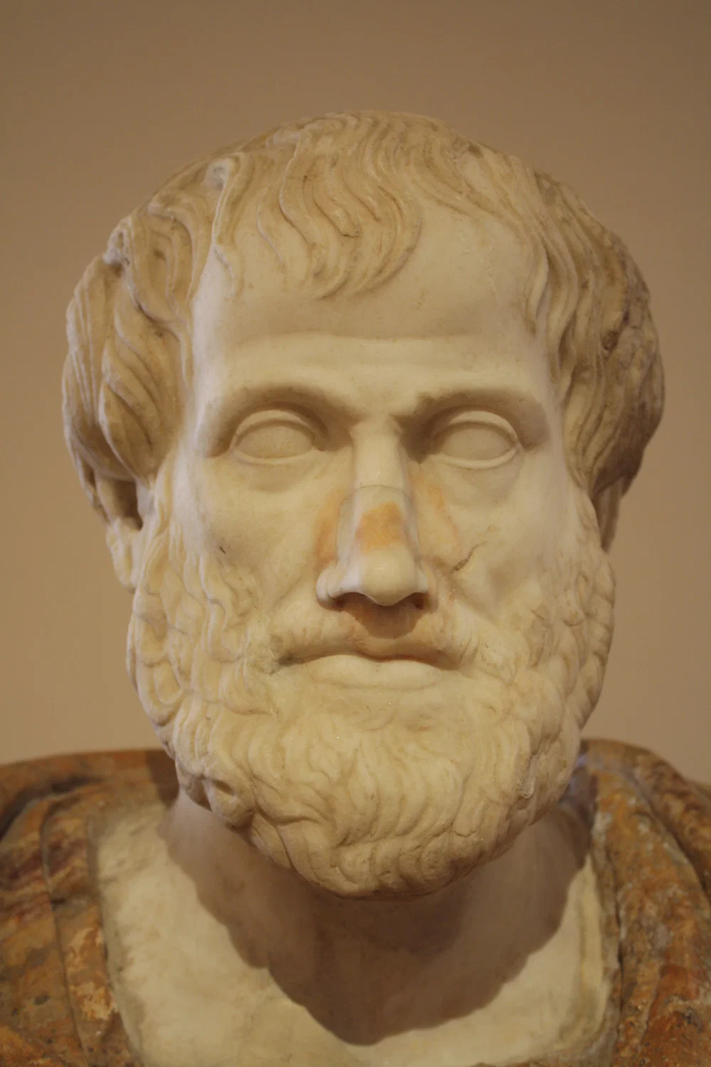 Bức tượng bán thân thời kỳ Hy Lạp hóa của triết gia Hy Lạp Aristotle, do Lisippo chế tác dựa trên một nguyên bản bằng đồng - Ảnh: Mark Cartwright/CC BY-NC-SA.