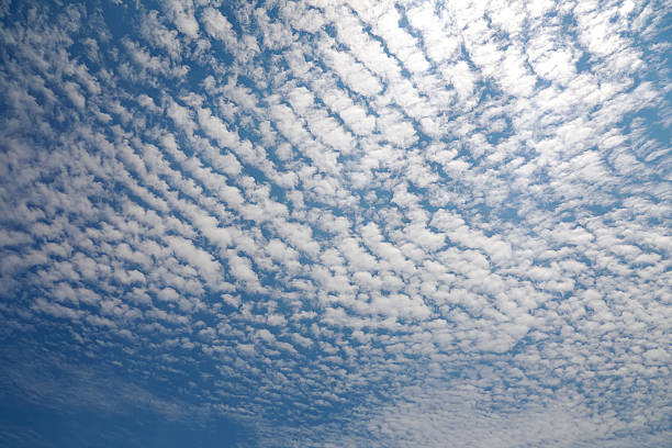 Mây ti tích (Cirrocumulus): các cụm mây nhỏ xếp thành gợn sóng hoặc vảy cá